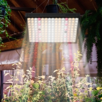 Plant Lamp LED Dimbaar Volledig Spectrum 100W