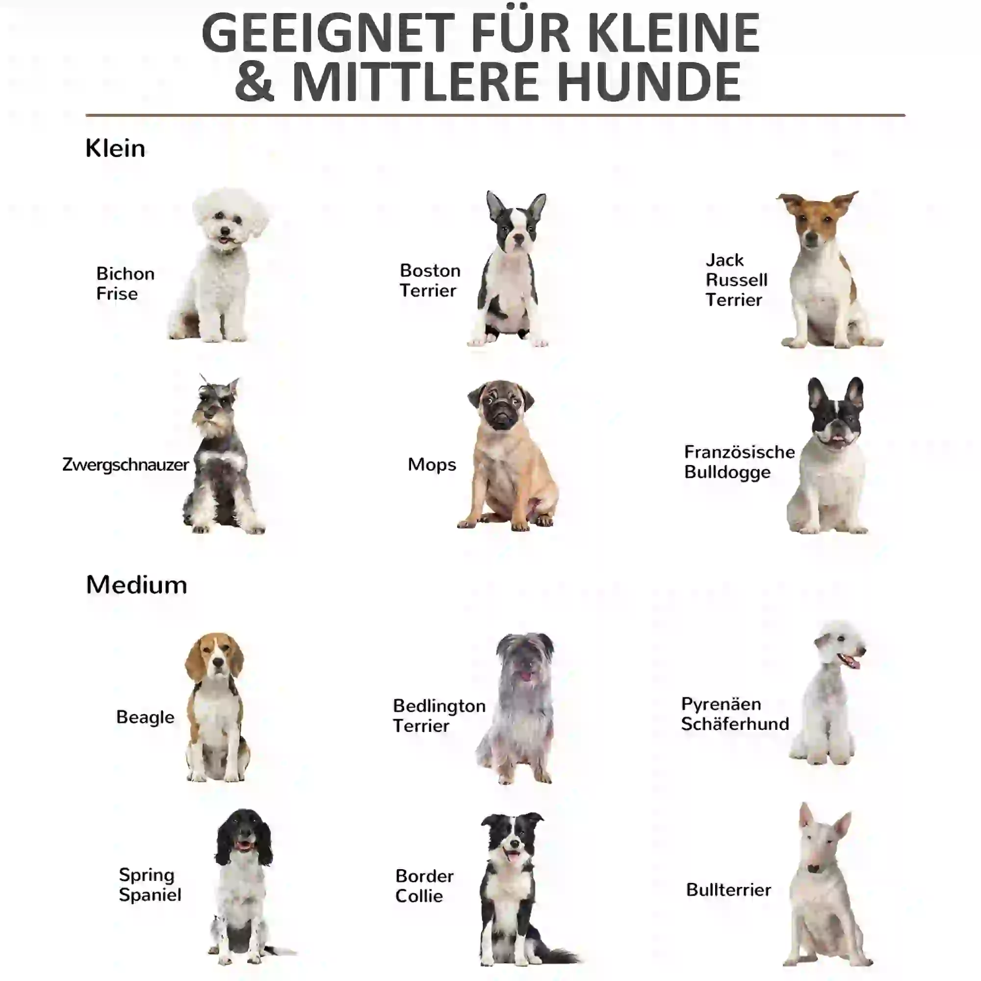 Houten Honden Bench 86 cm x 60 cm x 70 cm – Grijs/Wit