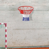 Basketbalring met net ø46 cm