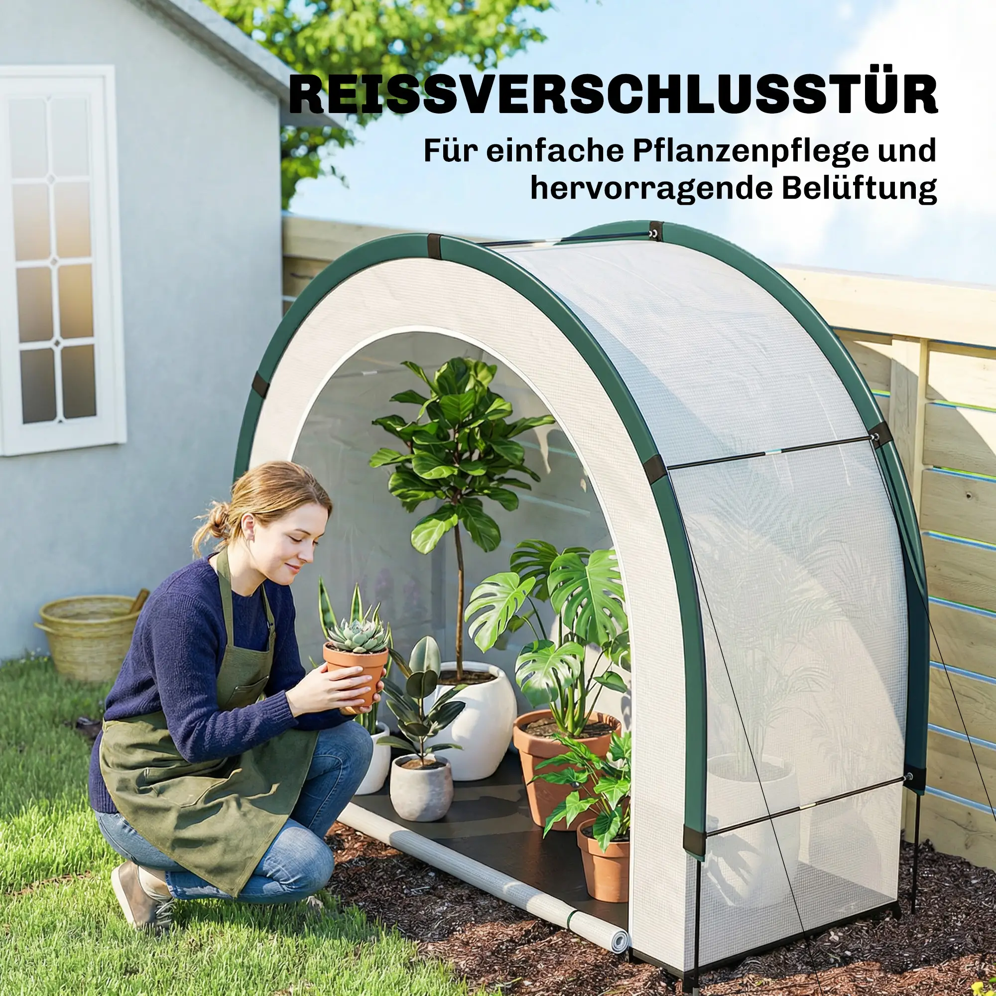 Kas met Gebogen Dak  200 x 80 x 164 cm
